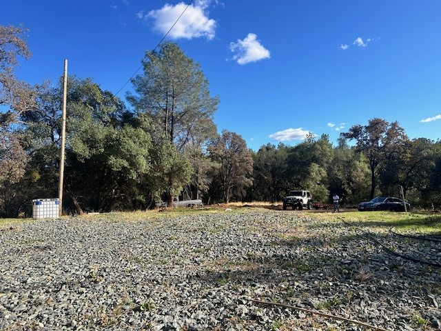 1403 Forbestown Road Oroville, CA 95966 - Photo 9 of 26 a view of a yard with a tree