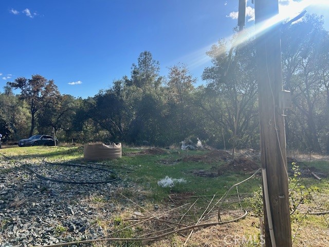 1403 Forbestown Road Oroville, CA 95966 - Photo 10 of 26 a view of a yard