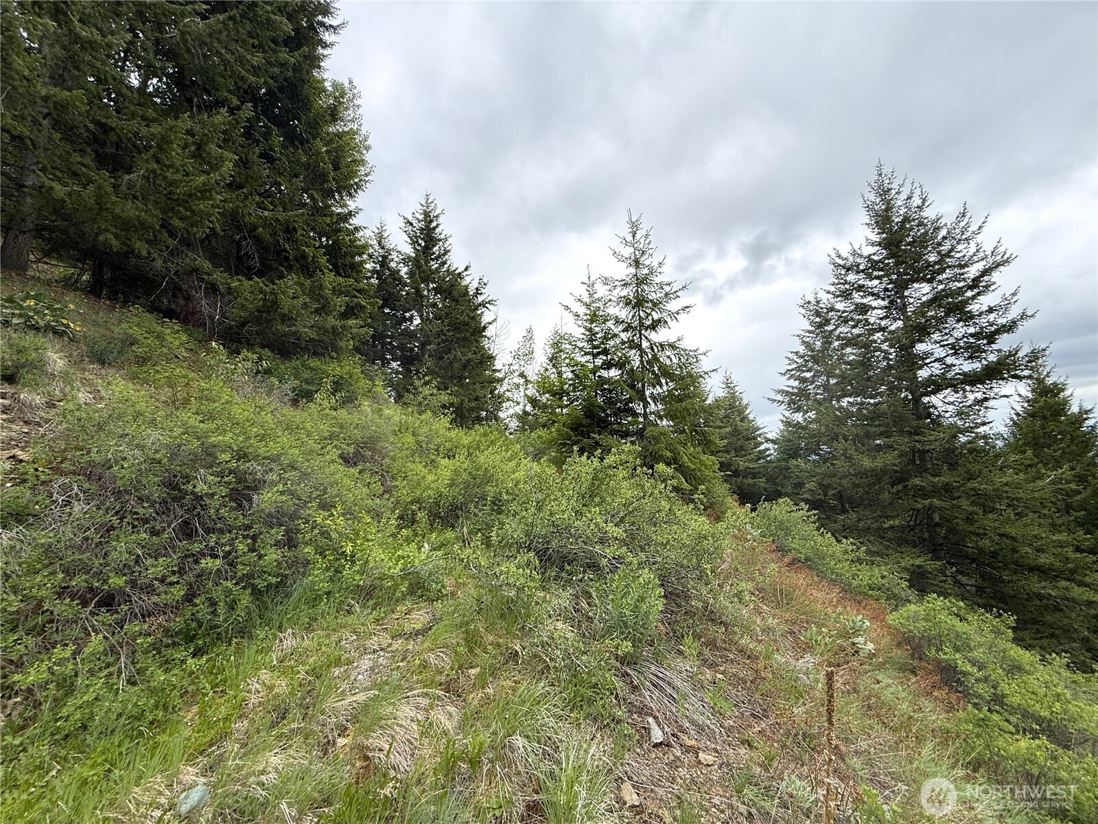 0 Pontiac Ridge Road Oroville, WA 98844 - Photo 13 of 21
