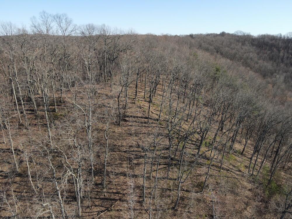 1020 Hunting Run Road, Unit C70 Lucasville, OH 45648 - Photo 28 of 48 p 28