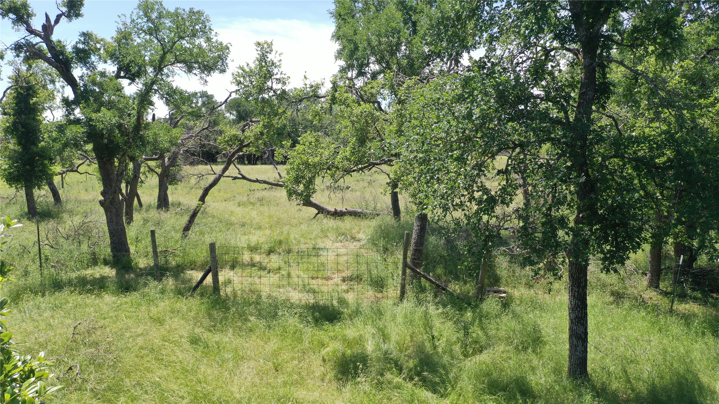 3215 County Road 305 Jarrell, TX 76537 - Photo 9 of 23