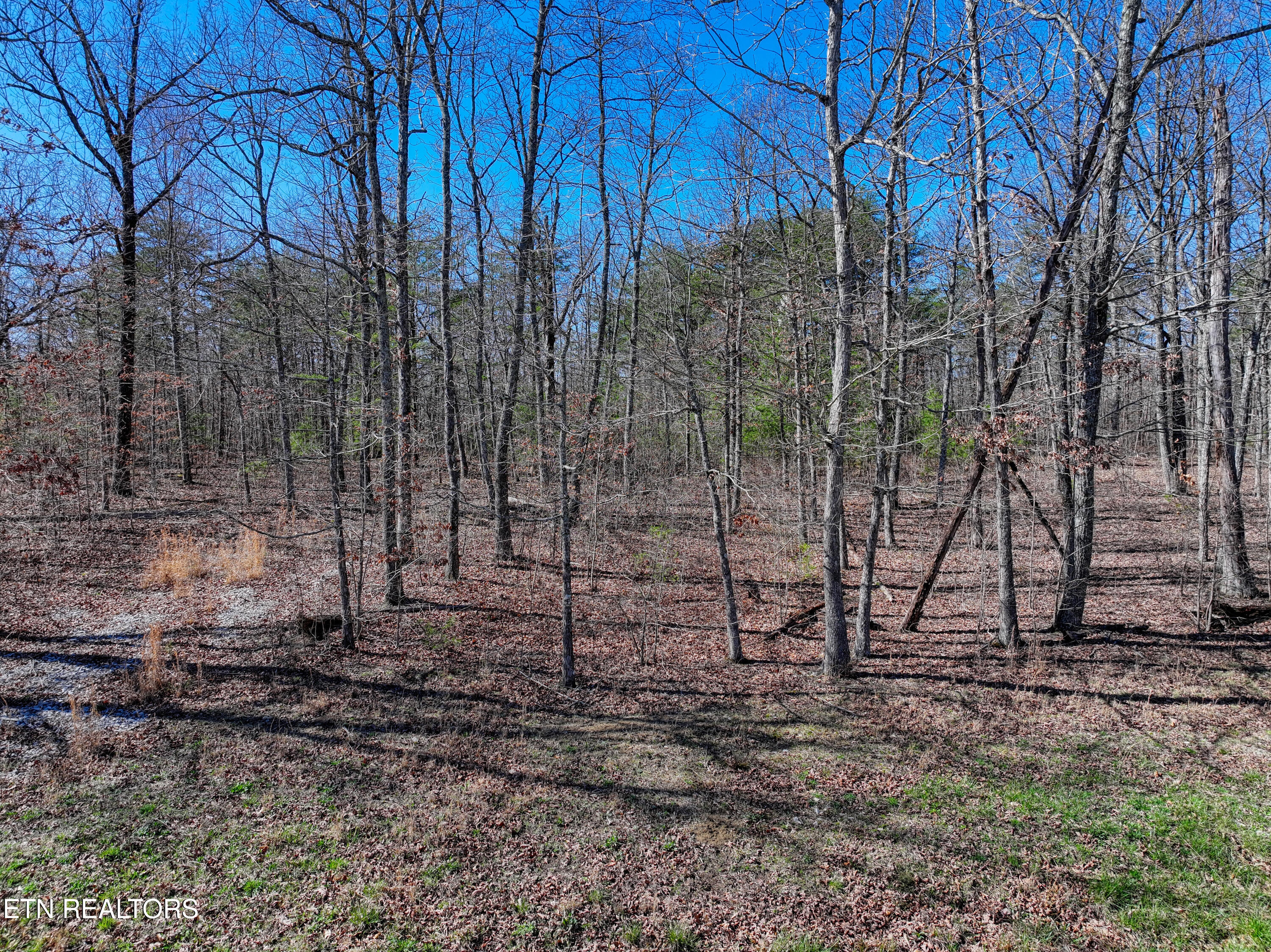 0 Gray Rock View, Unit 247 Pikeville, TN 37367 - Photo 5 of 16 DJI_20260312155316_0595_D_86