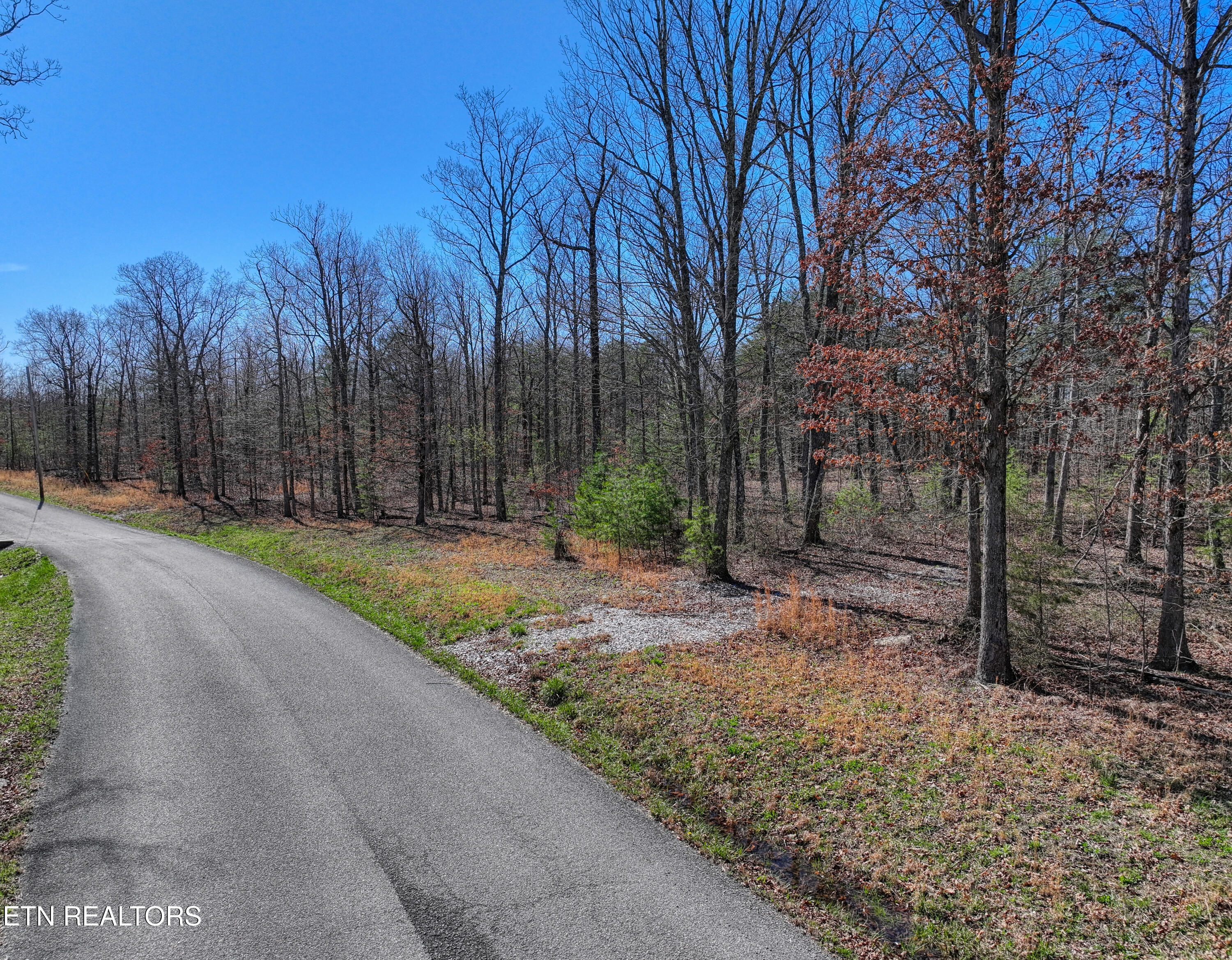 0 Gray Rock View, Unit 247 Pikeville, TN 37367 - Photo 6 of 16 DJI_20260312155238_0576_D_83