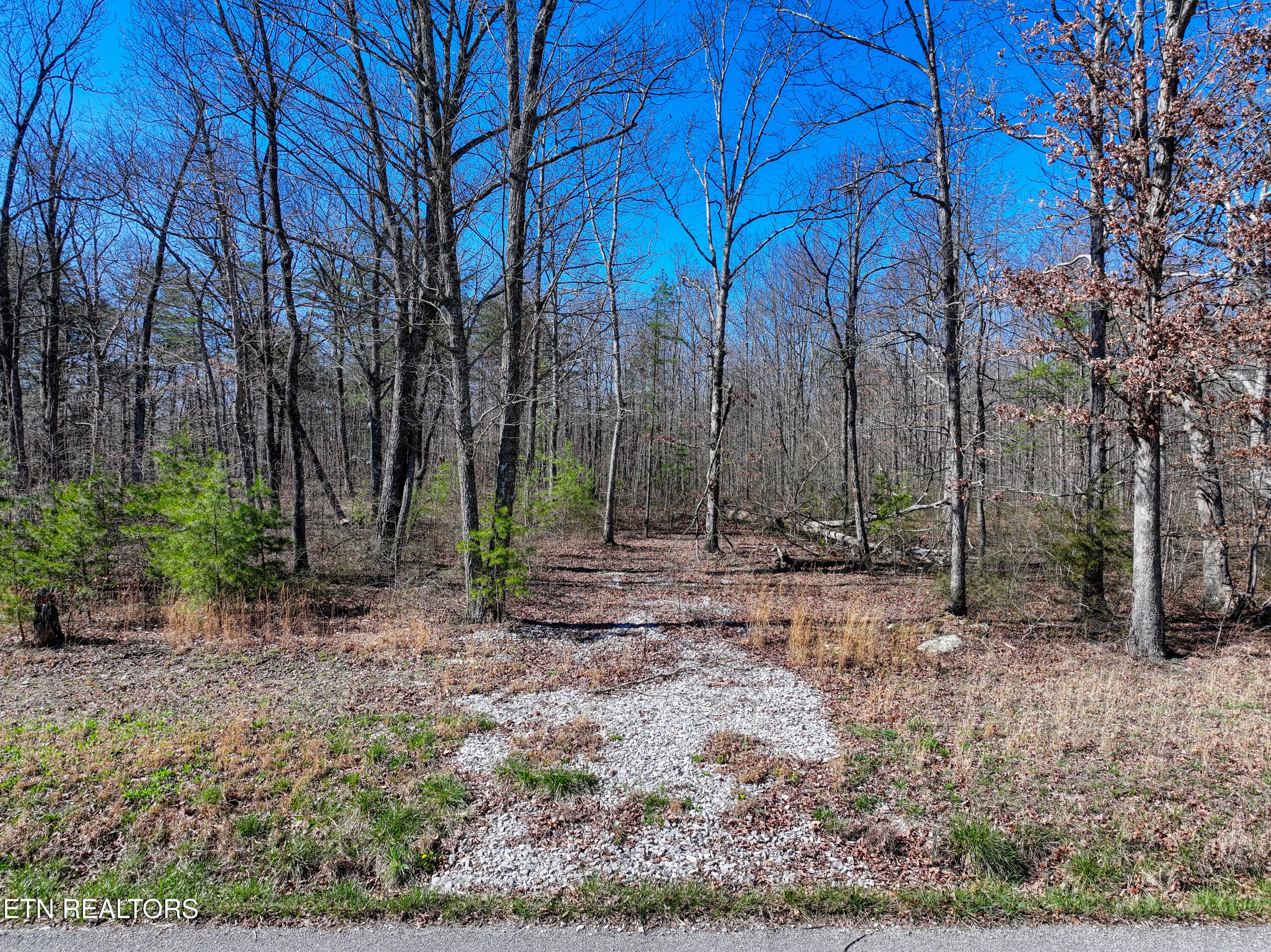 0 Gray Rock View, Unit 247 Pikeville, TN 37367 - Photo 7 of 16 DJI_20260312155254_0585_D_84