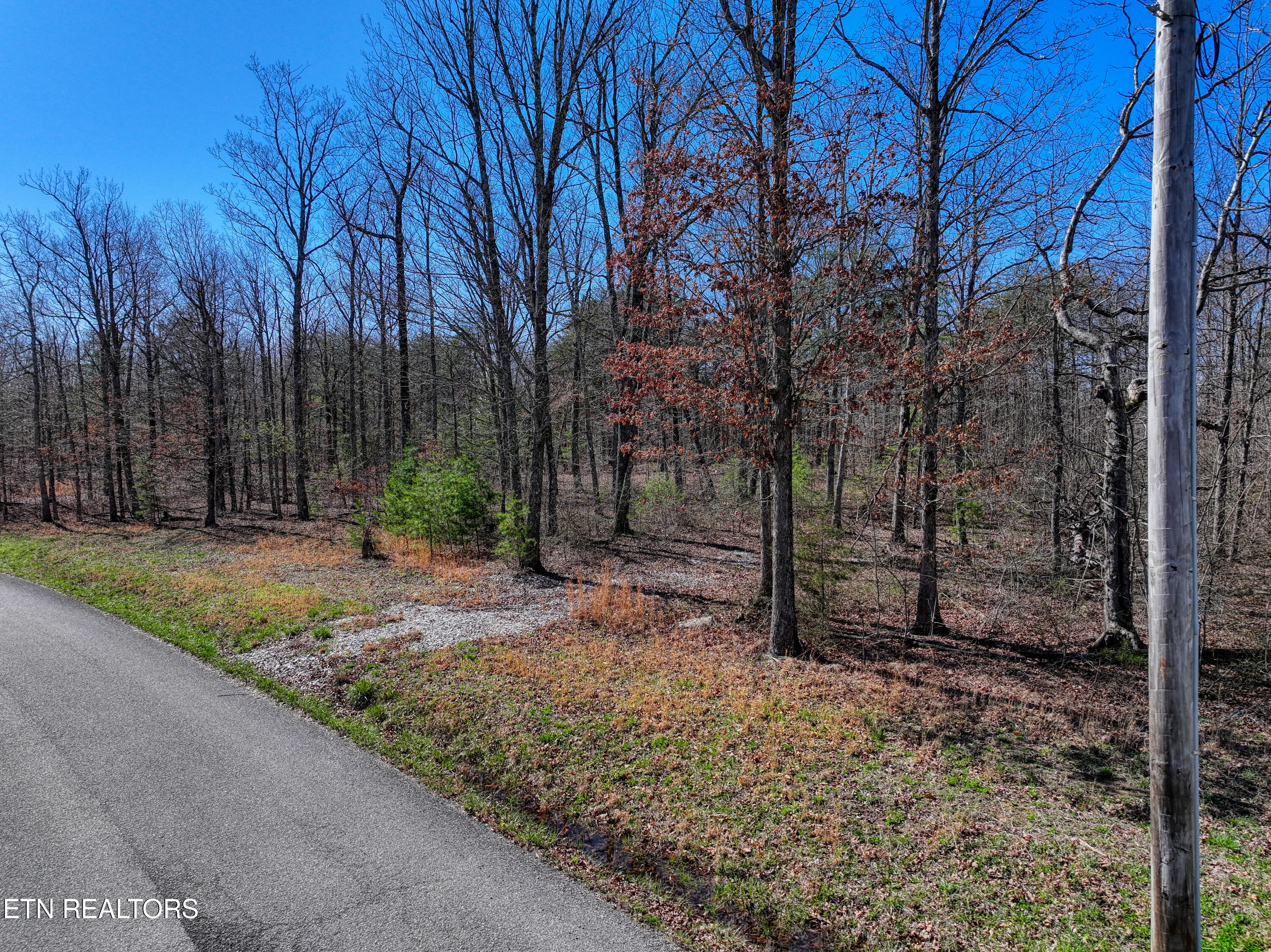 0 Gray Rock View, Unit 247 Pikeville, TN 37367 - Photo 8 of 16 DJI_20260312155232_0575_D_82