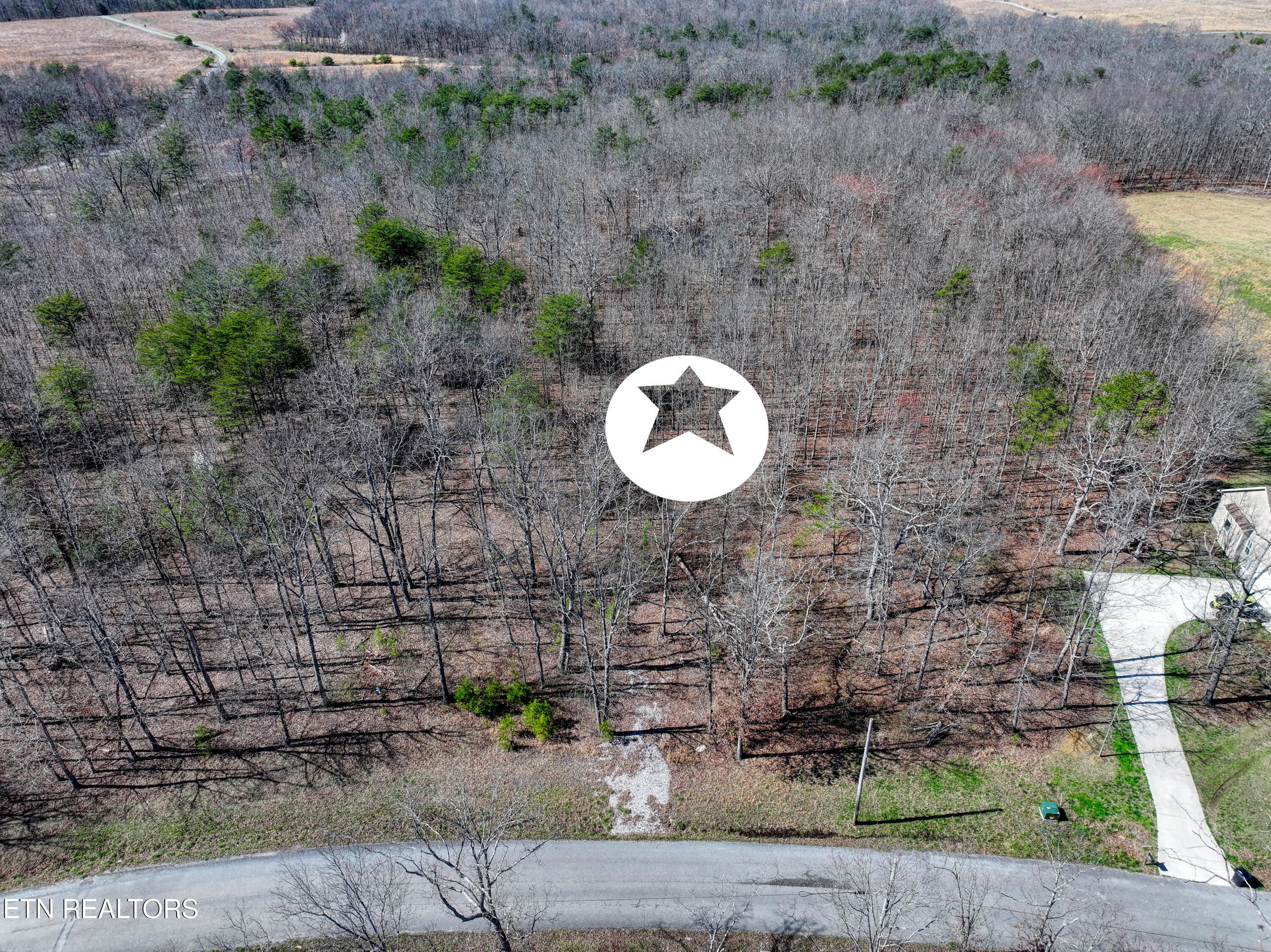 0 Gray Rock View, Unit 247 Pikeville, TN 37367 - Photo 10 of 16 DJI_20260312155132_0565_D_80