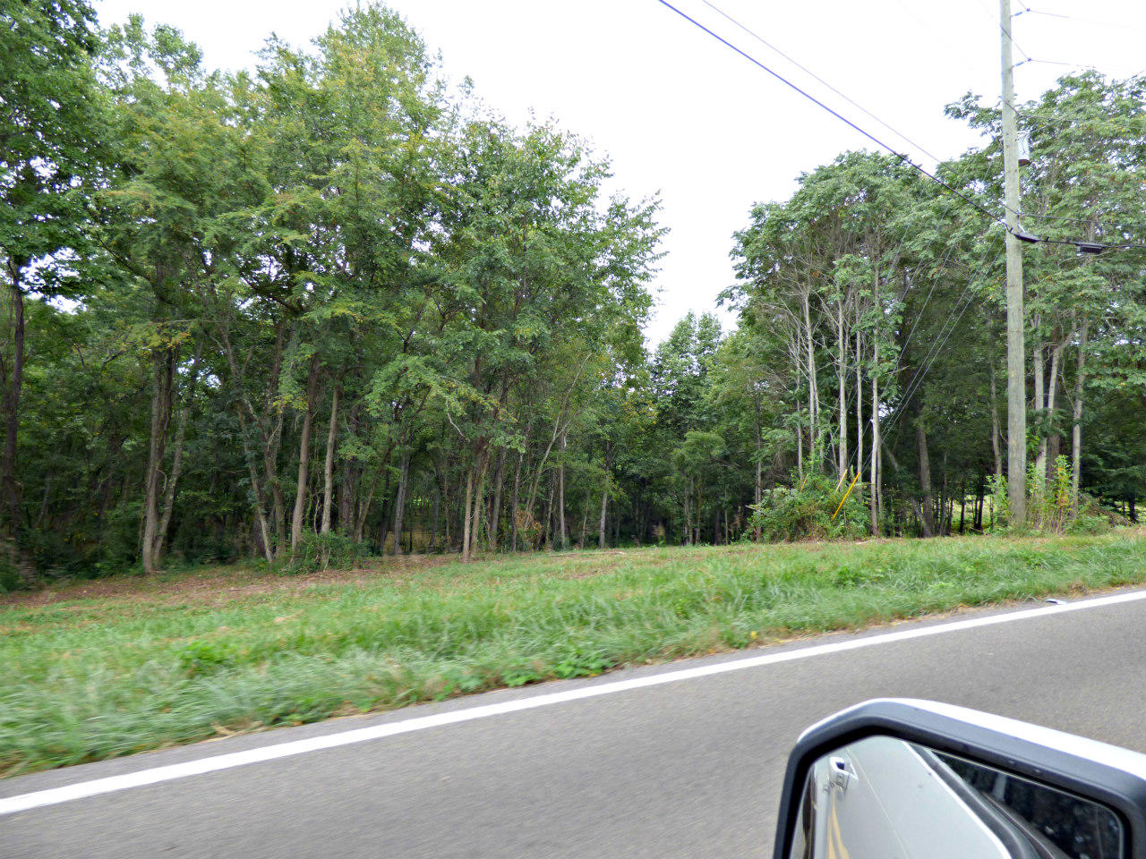 77 Valley Home Road White Pine, TN 37890 - Photo 1 of 5 P1130728