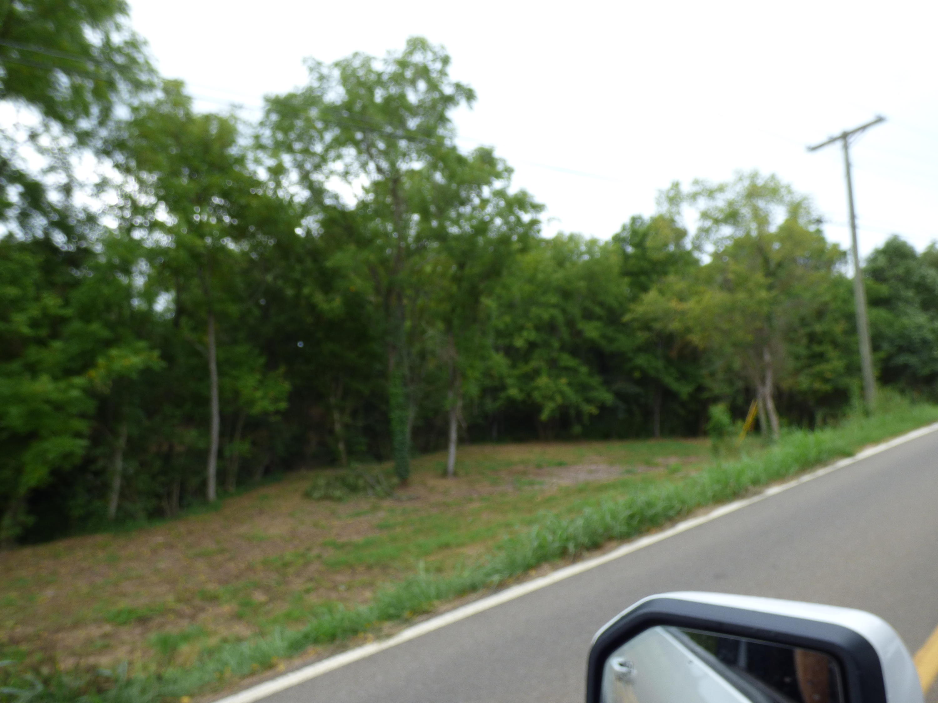 77 Valley Home Road White Pine, TN 37890 - Photo 3 of 5 P1130726