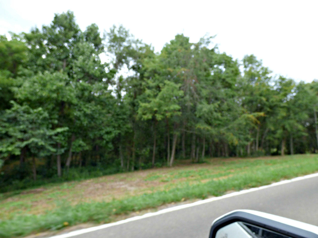 77 Valley Home Road White Pine, TN 37890 - Photo 4 of 5 P1130727