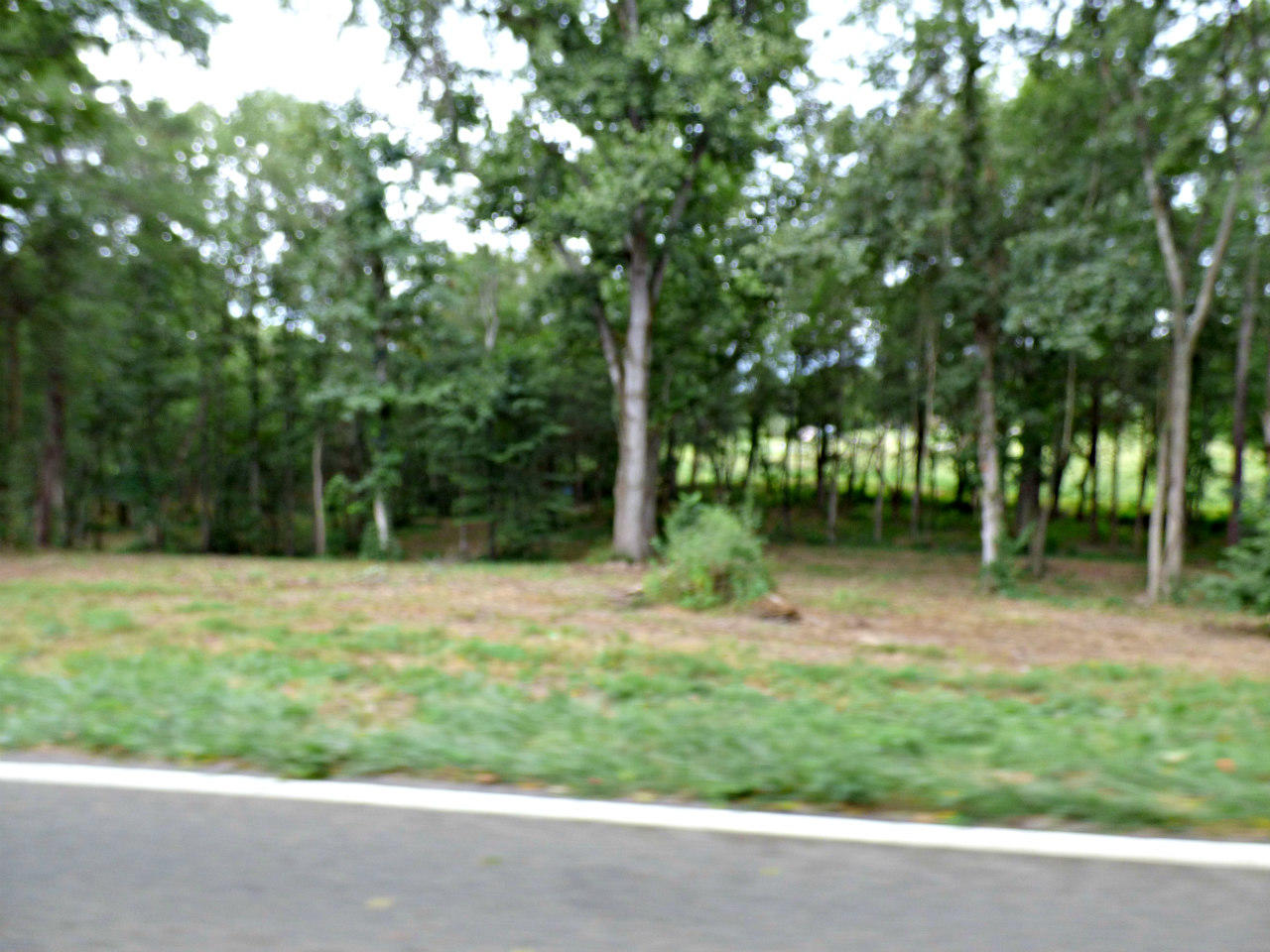 77 Valley Home Road White Pine, TN 37890 - Photo 5 of 5 P1130730