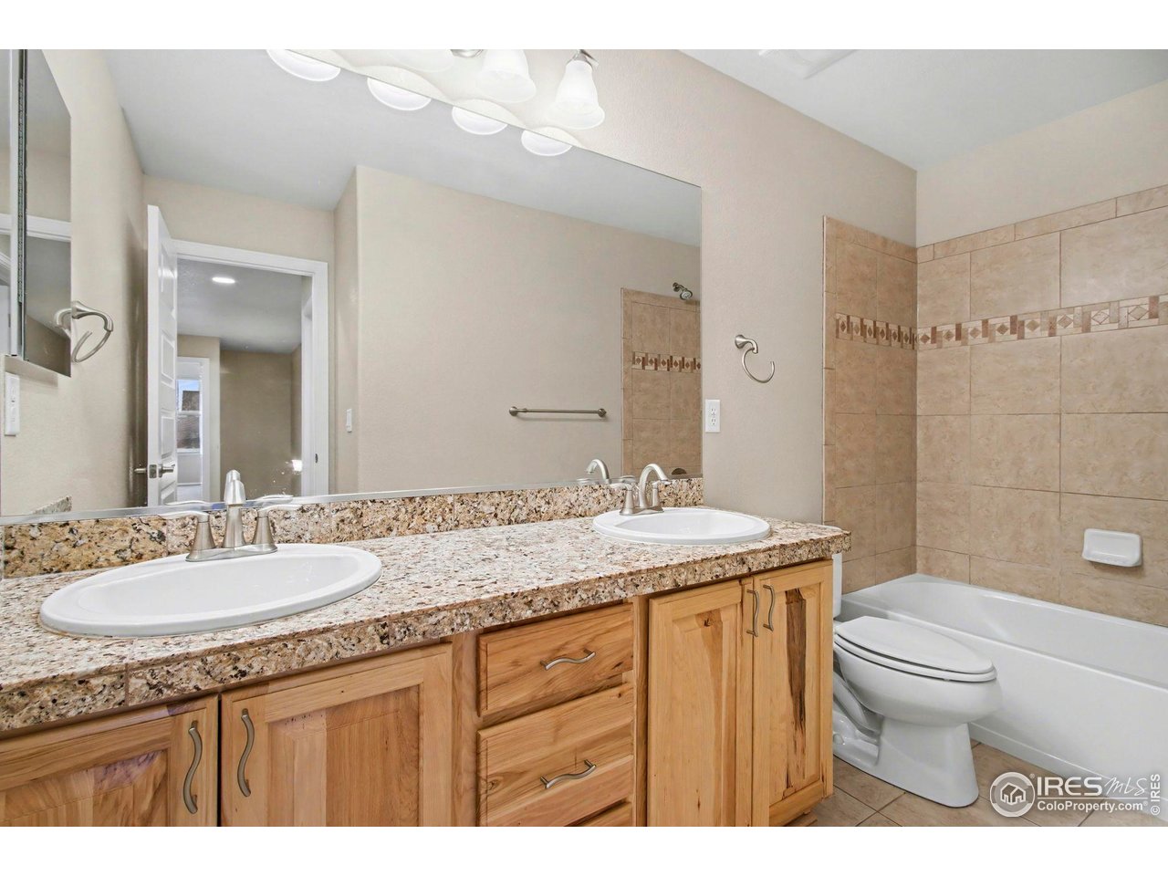 5894 Graphite Street Timnath, CO 80547 - Photo 34 of 50 a bathroom with a granite countertop sink a toilet and a mirror