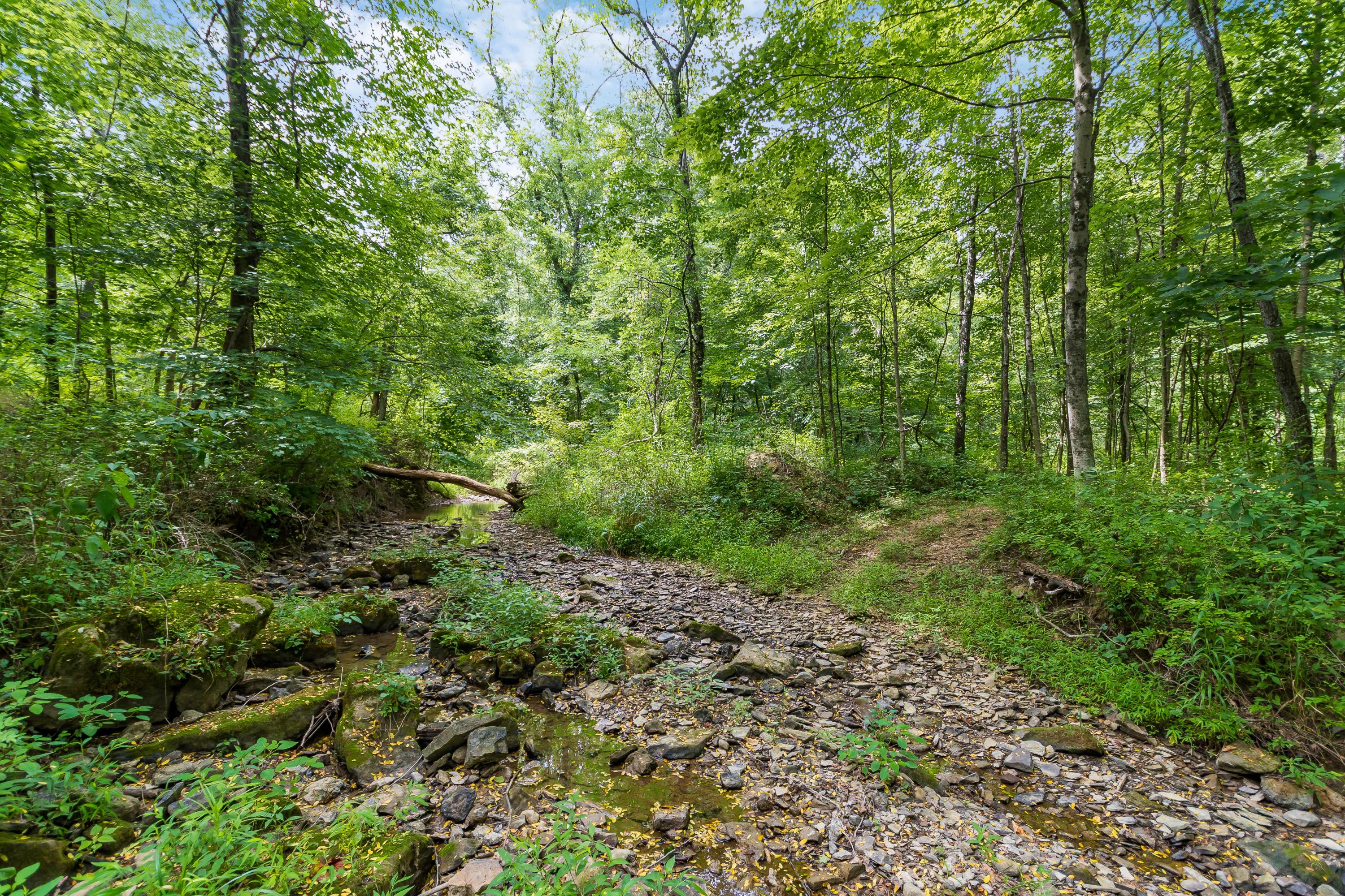 0 Amish Ridge Road Mount Perry, OH 43760 - Photo 11 of 26 Gallery Image 11