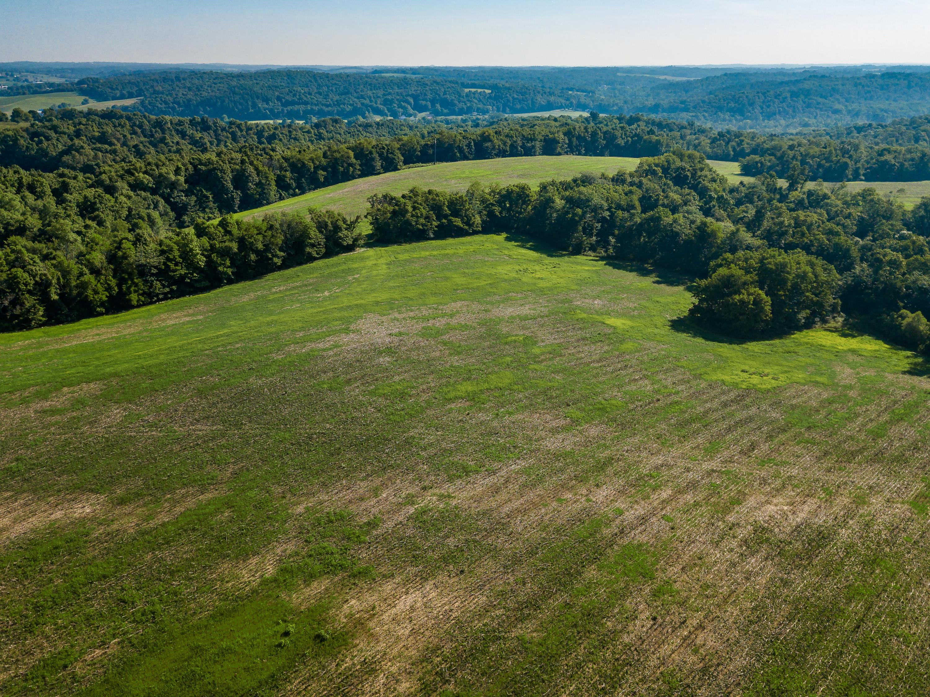 0 Amish Ridge Road Mount Perry, OH 43760 - Photo 16 of 26 Gallery Image 16