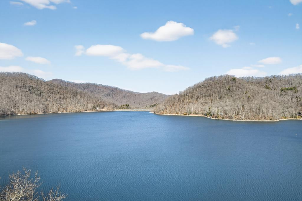 124 Mount Mariah Road Topton, NC 28781 - Photo 12 of 74