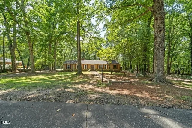 a view of a park with large trees