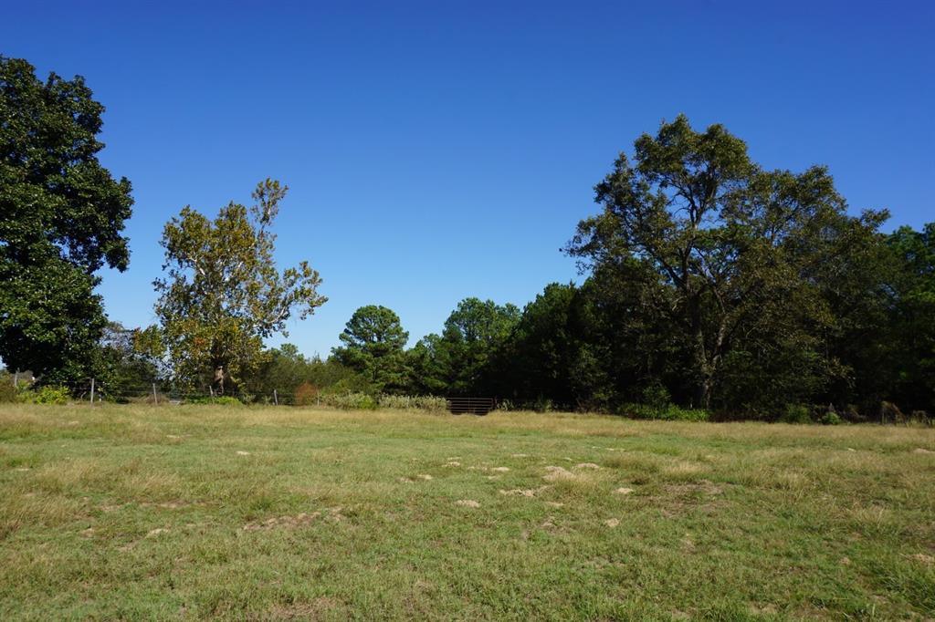 Cr4301 Plainview Road Naples, TX 75568 - Photo 12 of 31