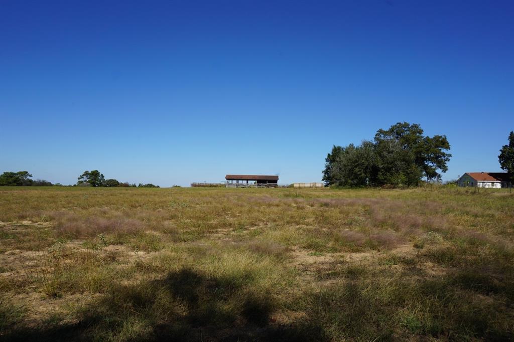 Cr4301 Plainview Road Naples, TX 75568 - Photo 16 of 31