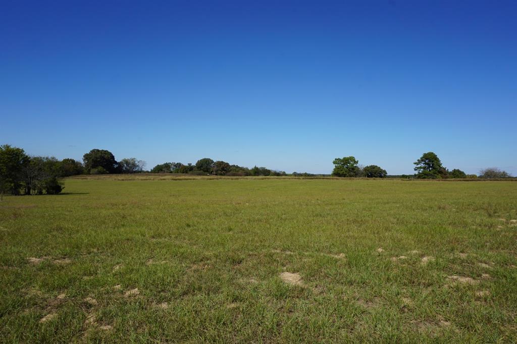 Cr4301 Plainview Road Naples, TX 75568 - Photo 20 of 31