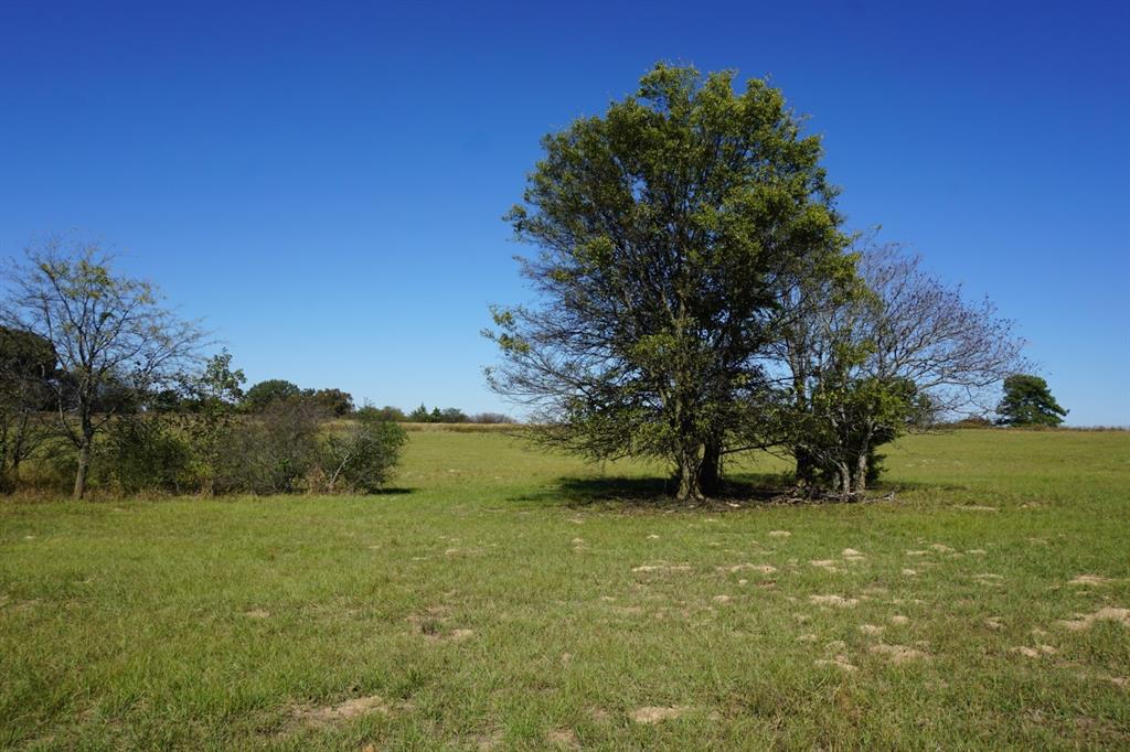 Cr4301 Plainview Road Naples, TX 75568 - Photo 22 of 31