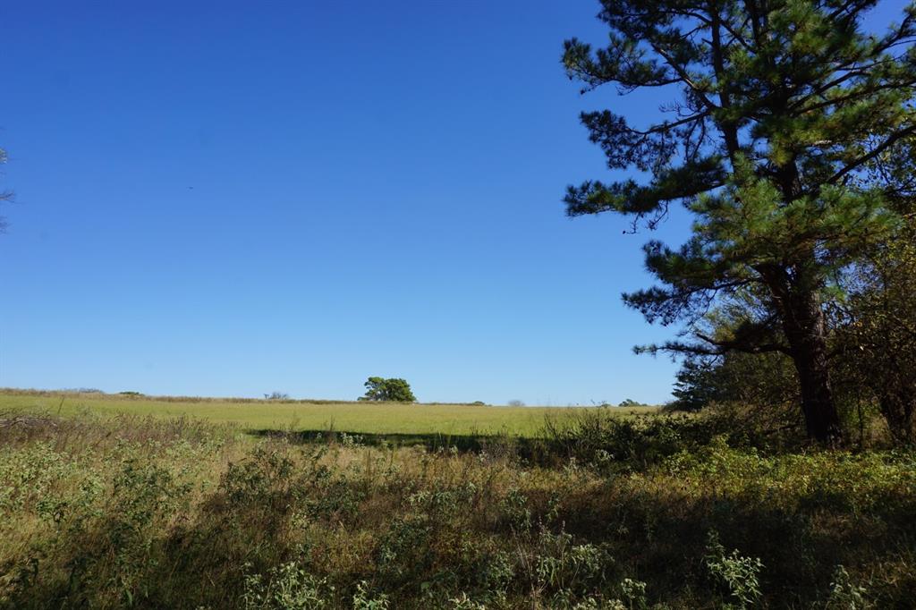 Cr4301 Plainview Road Naples, TX 75568 - Photo 23 of 31