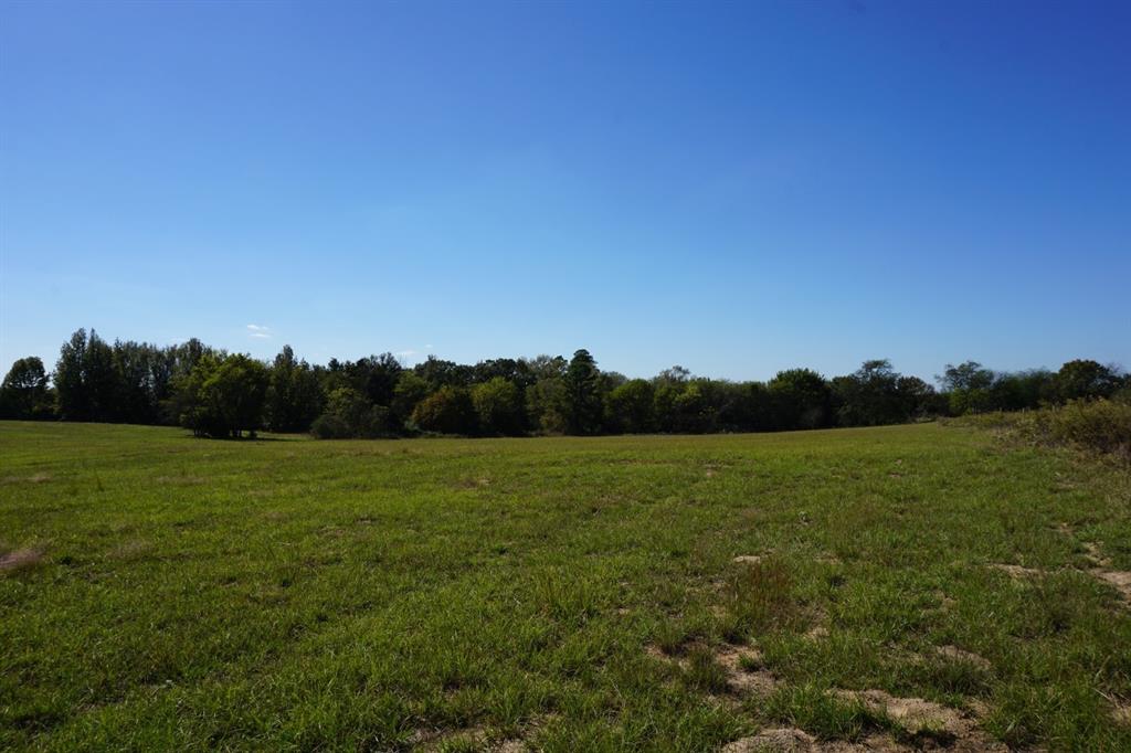 Cr4301 Plainview Road Naples, TX 75568 - Photo 24 of 31