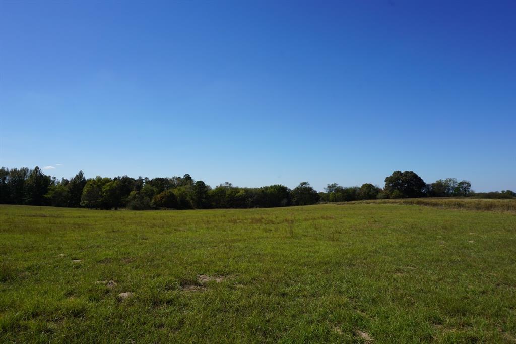 Cr4301 Plainview Road Naples, TX 75568 - Photo 26 of 31