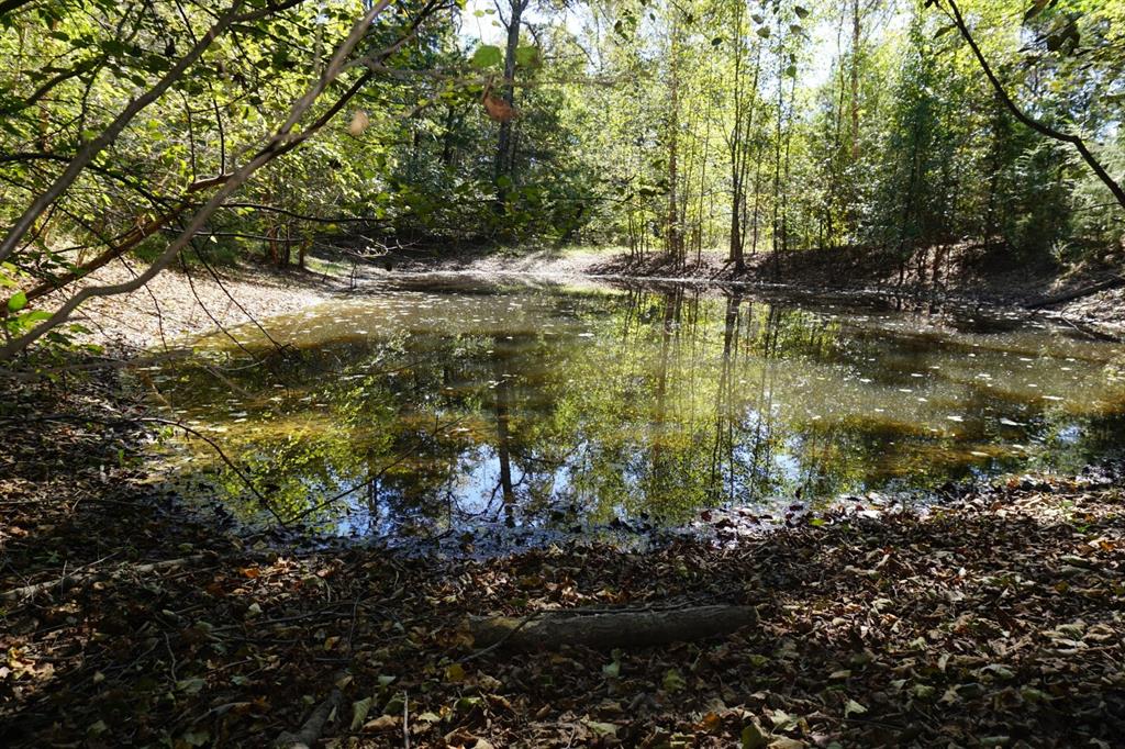 Cr4301 Plainview Road Naples, TX 75568 - Photo 27 of 31