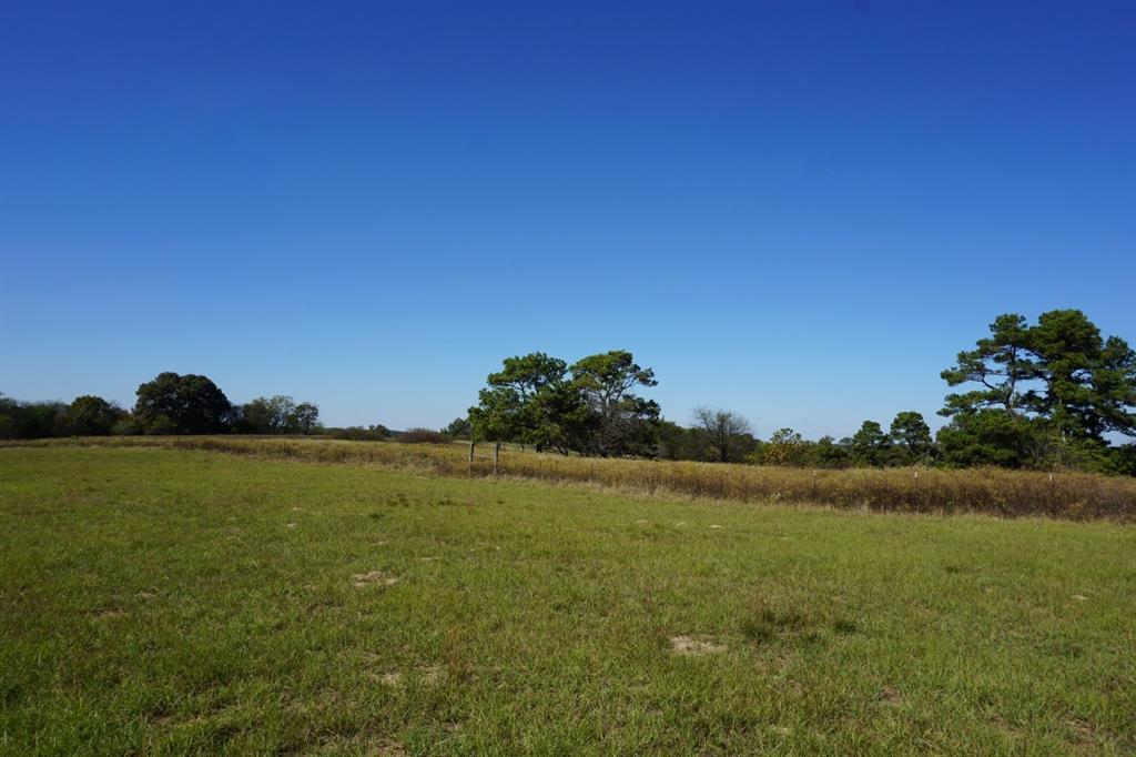 Cr4301 Plainview Road Naples, TX 75568 - Photo 28 of 31