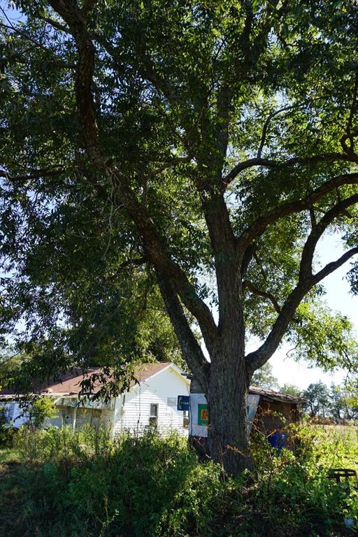 Cr4301 Plainview Road Naples, TX 75568 - Photo 31 of 31