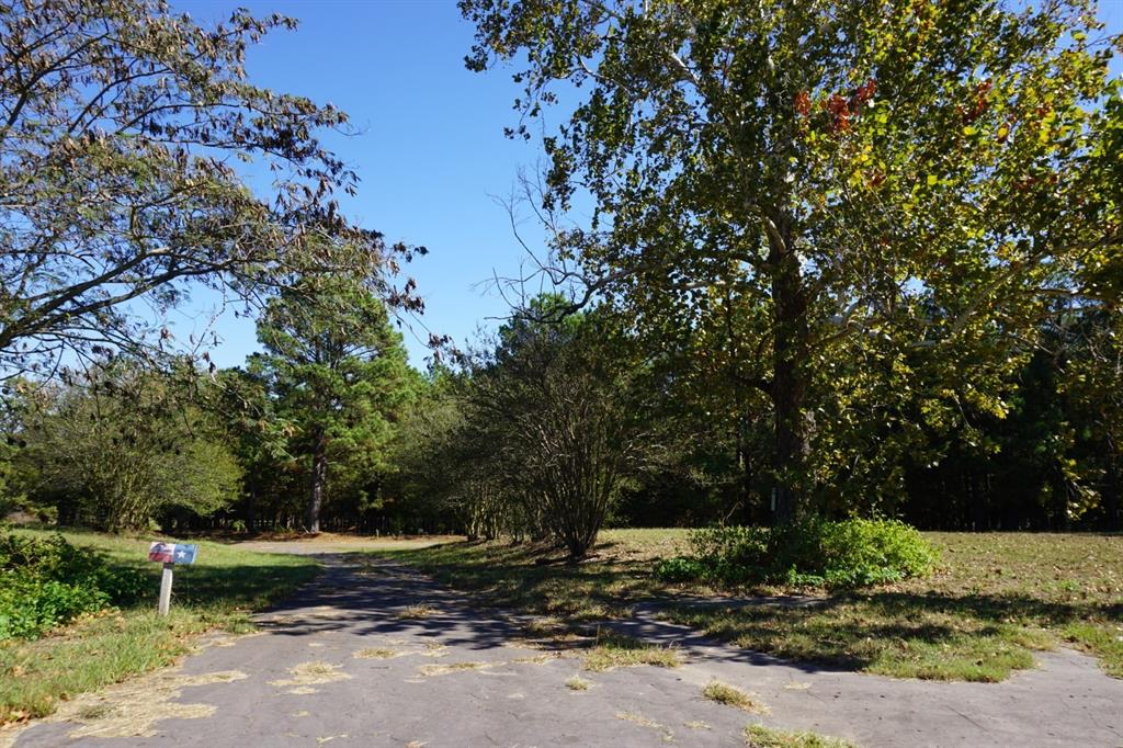 Cr4301 Plainview Road Naples, TX 75568 - Photo 8 of 31