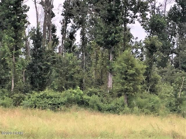 5904 Alliance Road Marianna, FL 32448 - Photo 20 of 23 Gallery Image 20