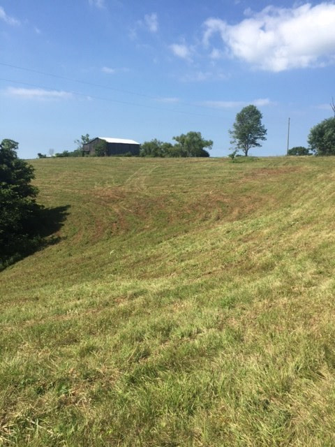 2150 Greenup Road Owenton, KY 40359 - Photo 14 of 29 Gallery Image 14