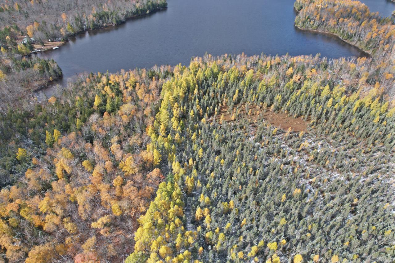 8754 Murphy Lake Road Presque Isle, WI 54557 - Photo 3 of 26 Gallery Image 3