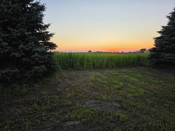 $320,000 | 0 North 8000w Road, Bonfield, IL 60913