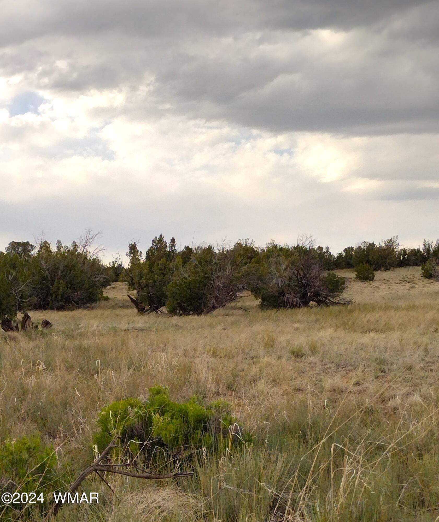 Lot 94 Witch Well Ranch St. Johns, AZ 85936 - Photo 3 of 8