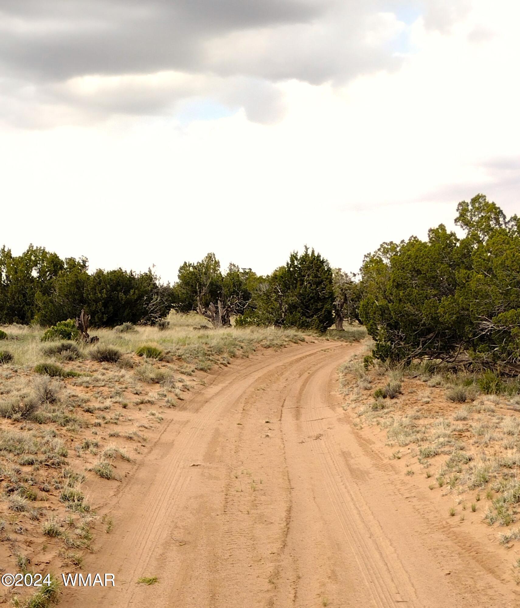 Lot 94 Witch Well Ranch St. Johns, AZ 85936 - Photo 5 of 8