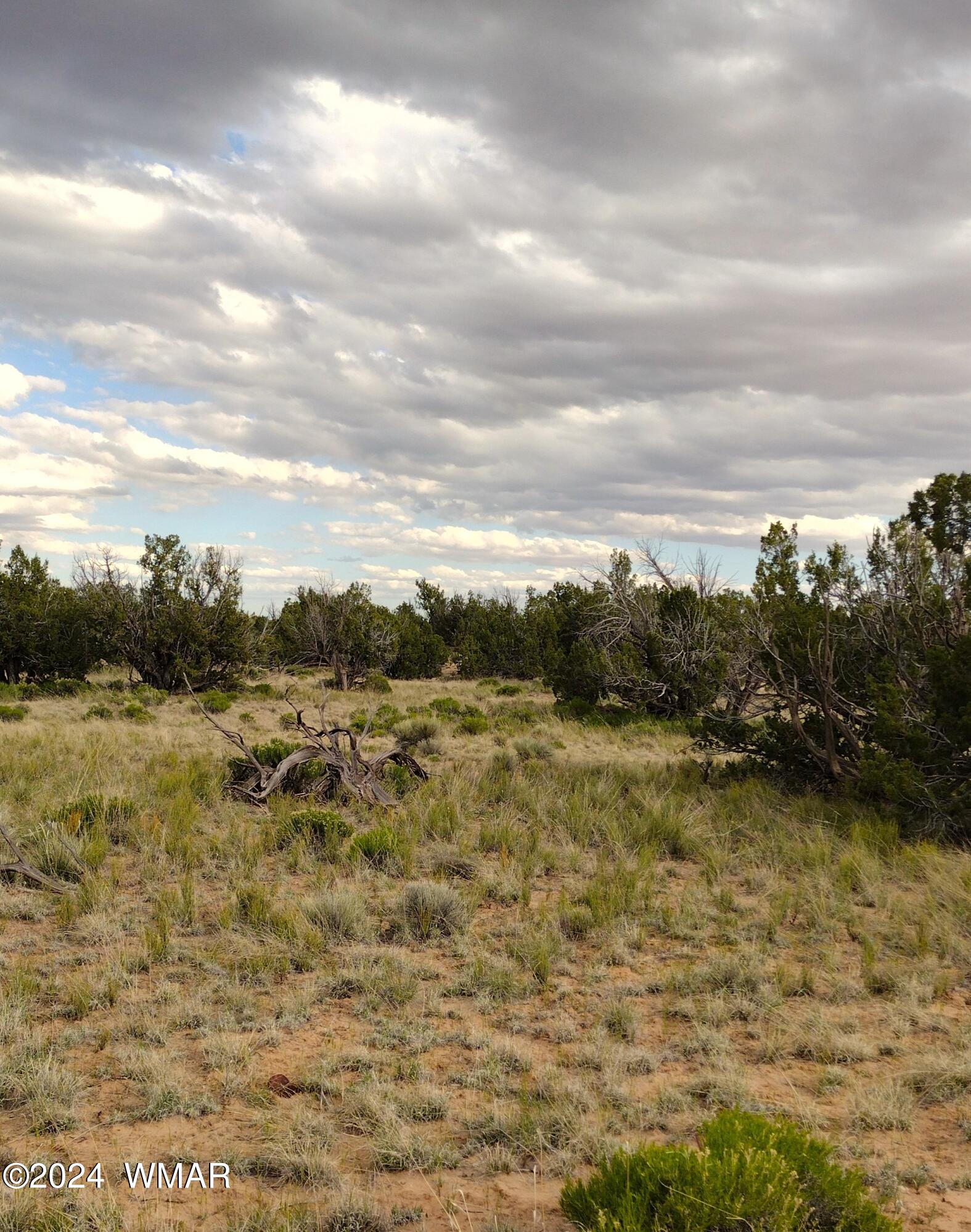 Lot 94 Witch Well Ranch St. Johns, AZ 85936 - Photo 6 of 8
