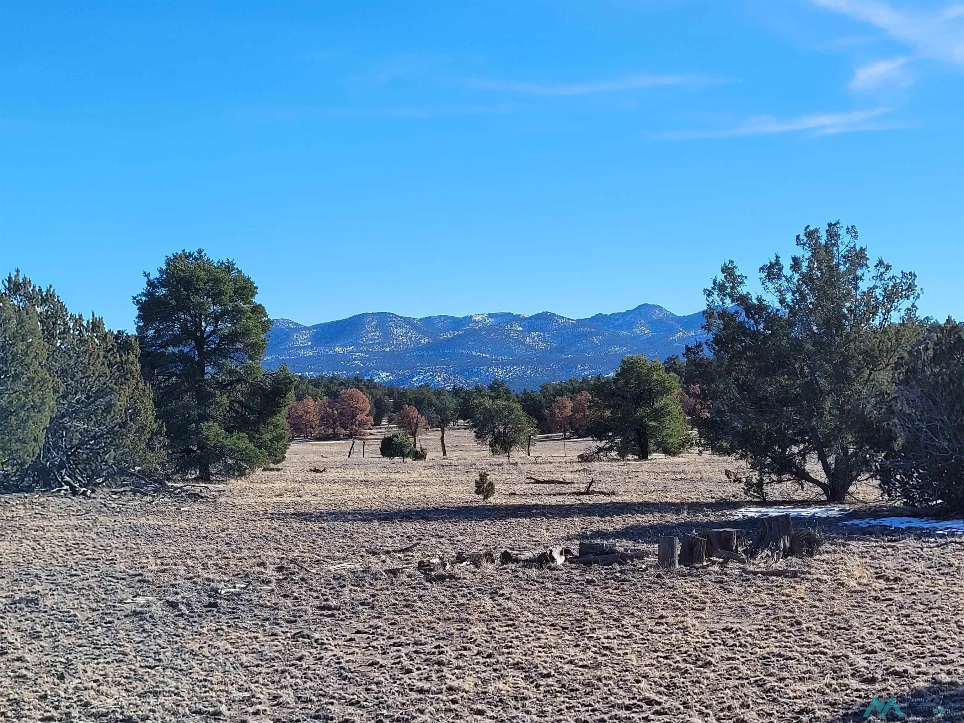 1 Jackass Lane, Unit 1 Datil, NM 87821 - Photo 26 of 46 Gallery Image 26