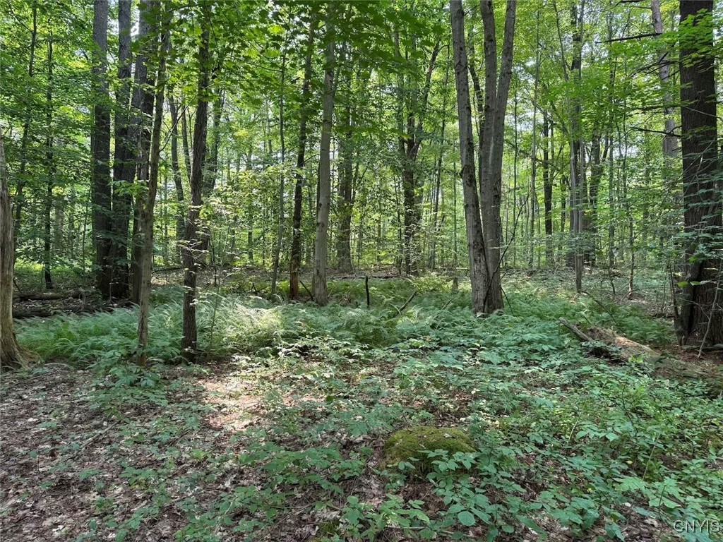 Allen Road East Concord, NY 14055 - Photo 28 of 34
