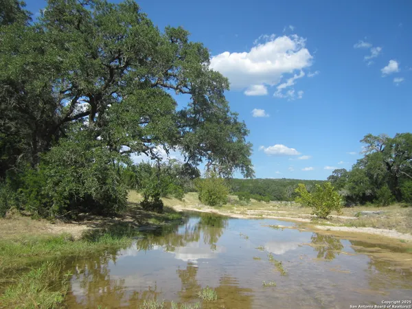 a view of a lake in between two trees