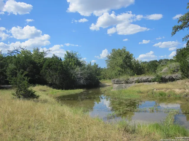 a view of a lake with lots of green space