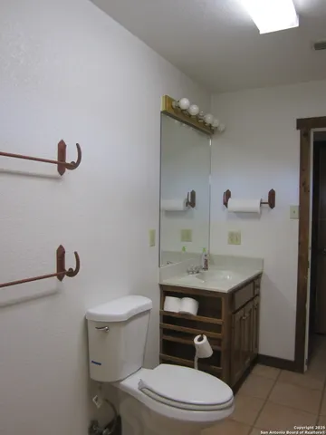 a view of a yard with plants and trees