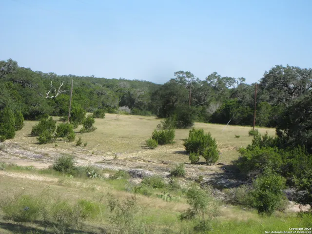 a view of house with a yard