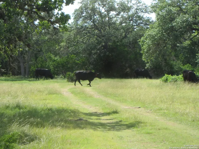 a house with swimming pool in front of it