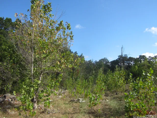 a kitchen with appliances cabinets and a sink