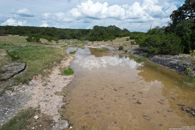 a view of a lake from a yard