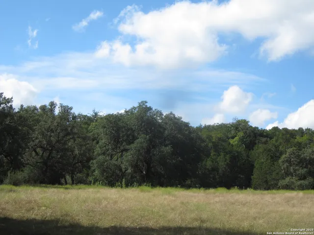 $4,300,000 | Undisclosed Address, Bandera, TX 78003