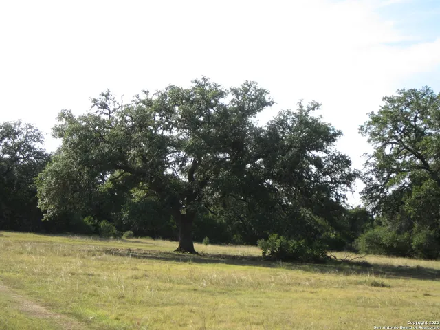 $4,300,000 | Undisclosed Address, Bandera, TX 78003