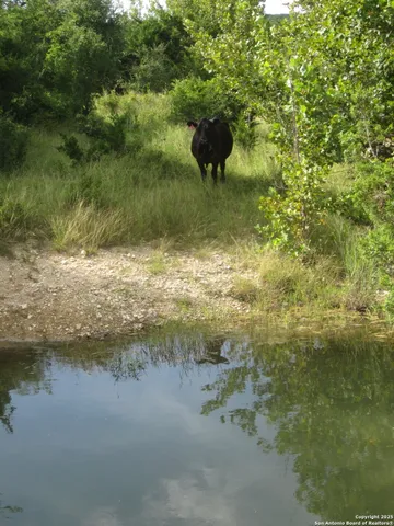 $4,300,000 | Undisclosed Address, Bandera, TX 78003