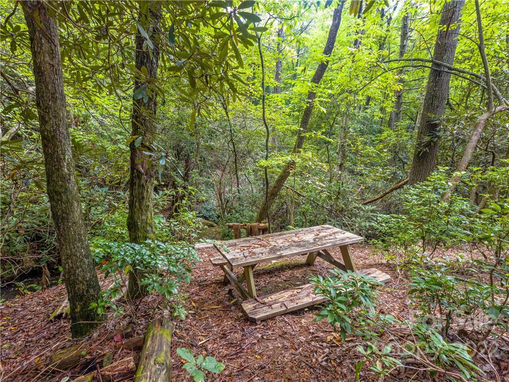 547 Round Mountain Road Brevard, NC 28712 - Photo 12 of 38 Gallery Image 12
